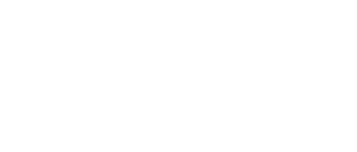 PNC UNIQUE LTD